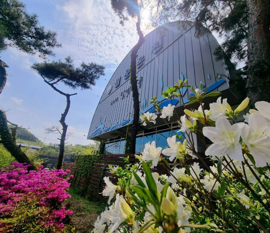 Weolmoon Hot Spring Resort (월문온천 휴양지)