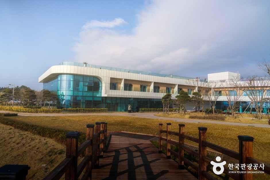 Taean Thalassotherapy Center (태안해양치유센터)
