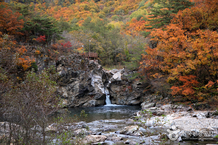제대로 요약정리한 안보 관광명소 모음 코스