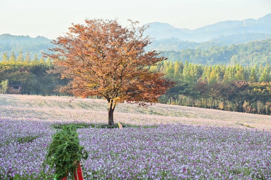 Agroland Taeshin Farm (아그로랜드 태신목장)