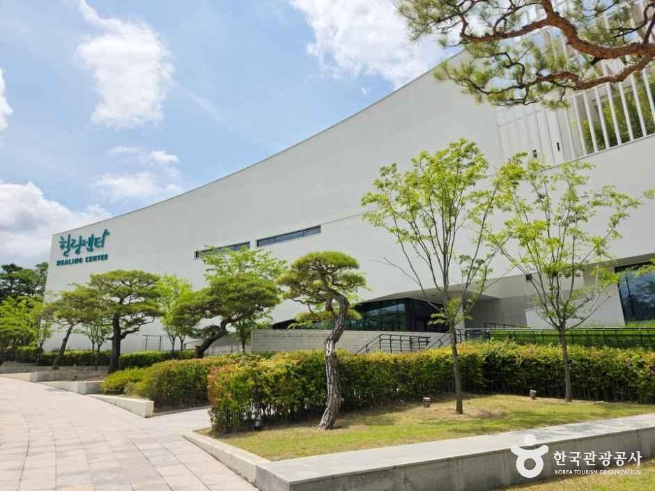 레인보우힐링센터