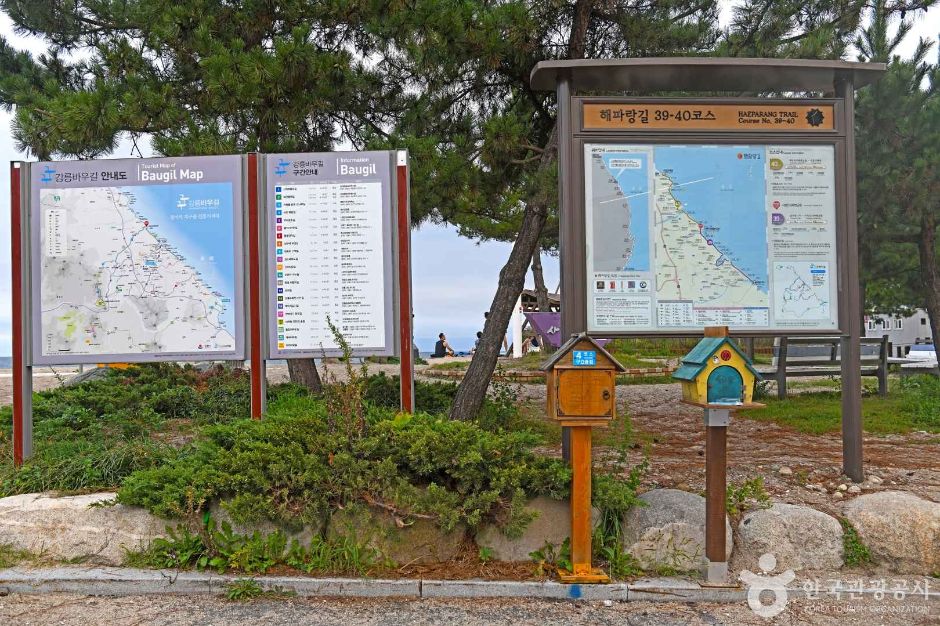 Gangneung Baugil Section 5, Sea and Lake Trail