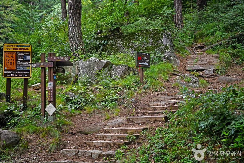 The Pine Tree Path Given a Royal Command