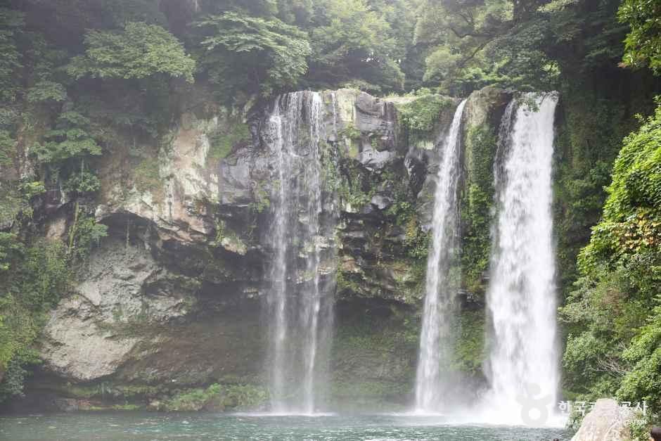 천지연폭포