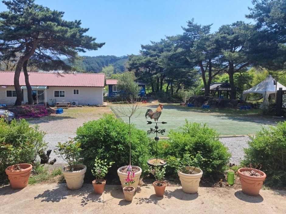 명천물숲마을