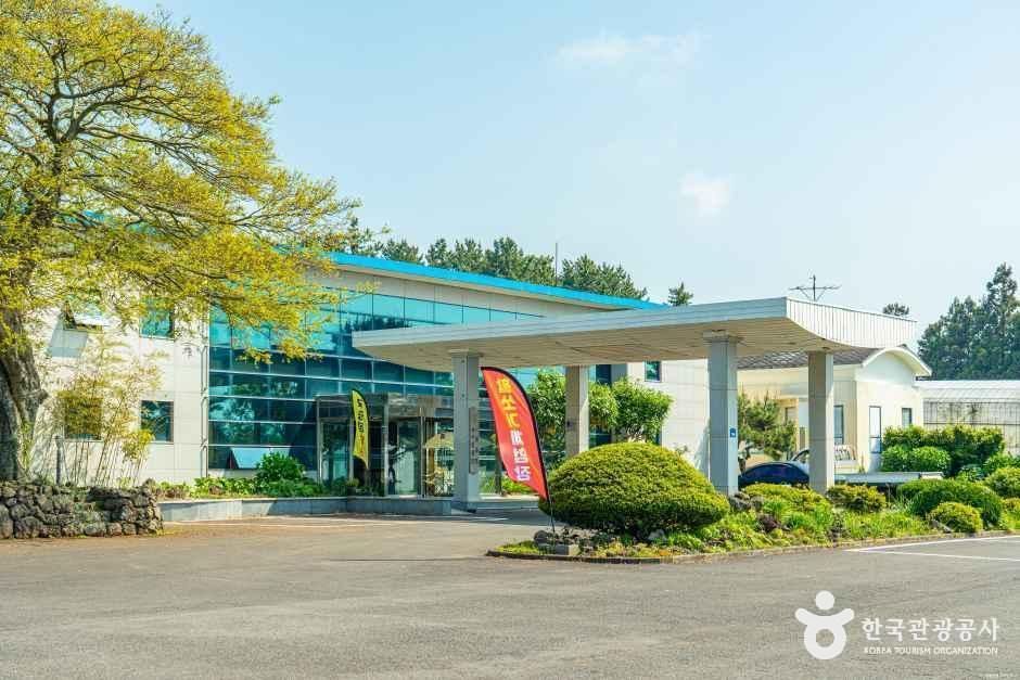 제주힐링명상테마파크