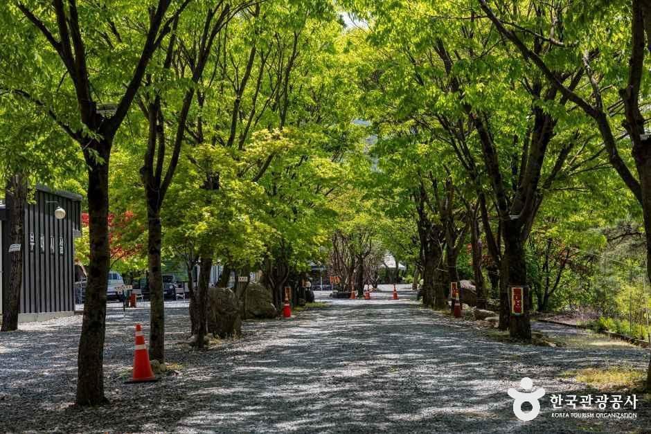쌍곡예당