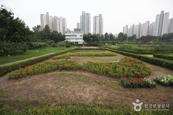 Jamsil Hangang Park (잠실한강공원)