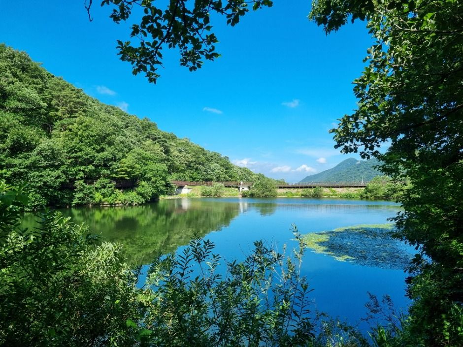 National Center for Forest Activities, Chilgok (국립칠곡숲체원)