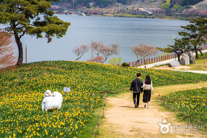 Jirisan Cheese Land (지리산치즈랜드)