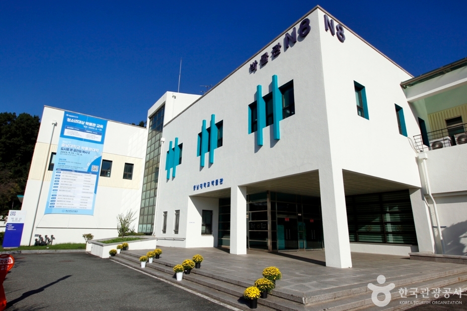 충남대학교박물관