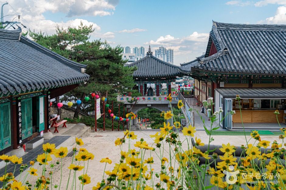 개운사(서울)