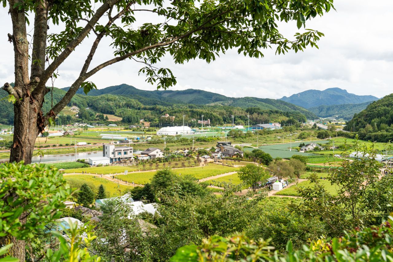 평창효석문화제