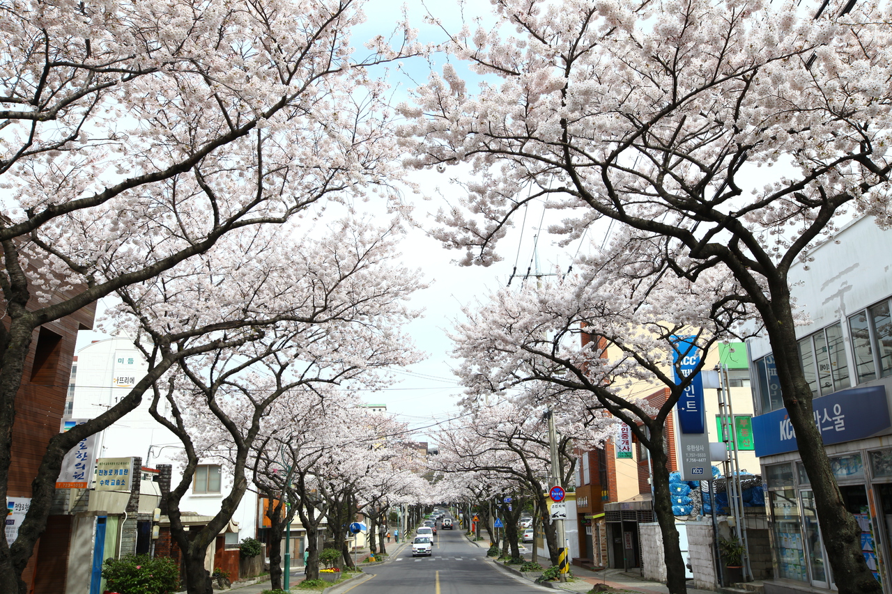 제주 전농로