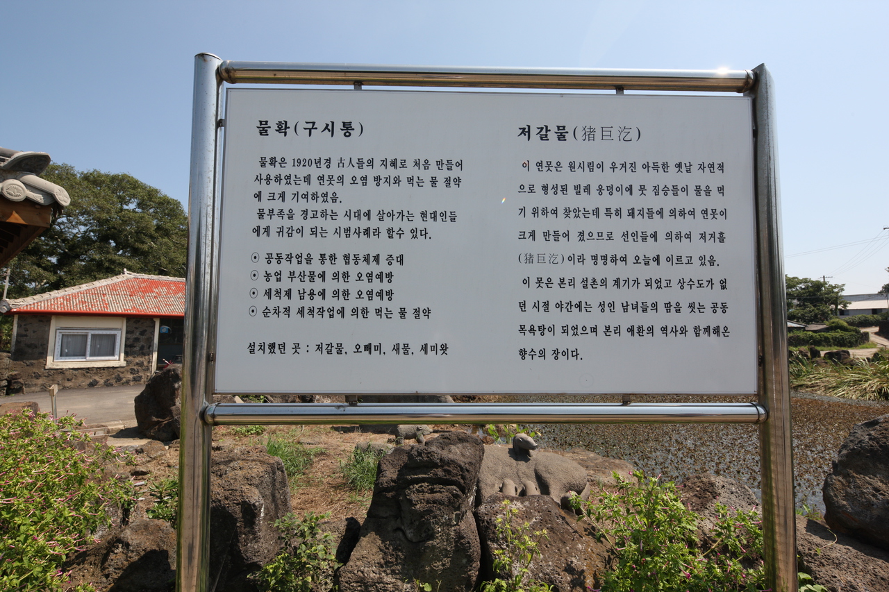 저갈물