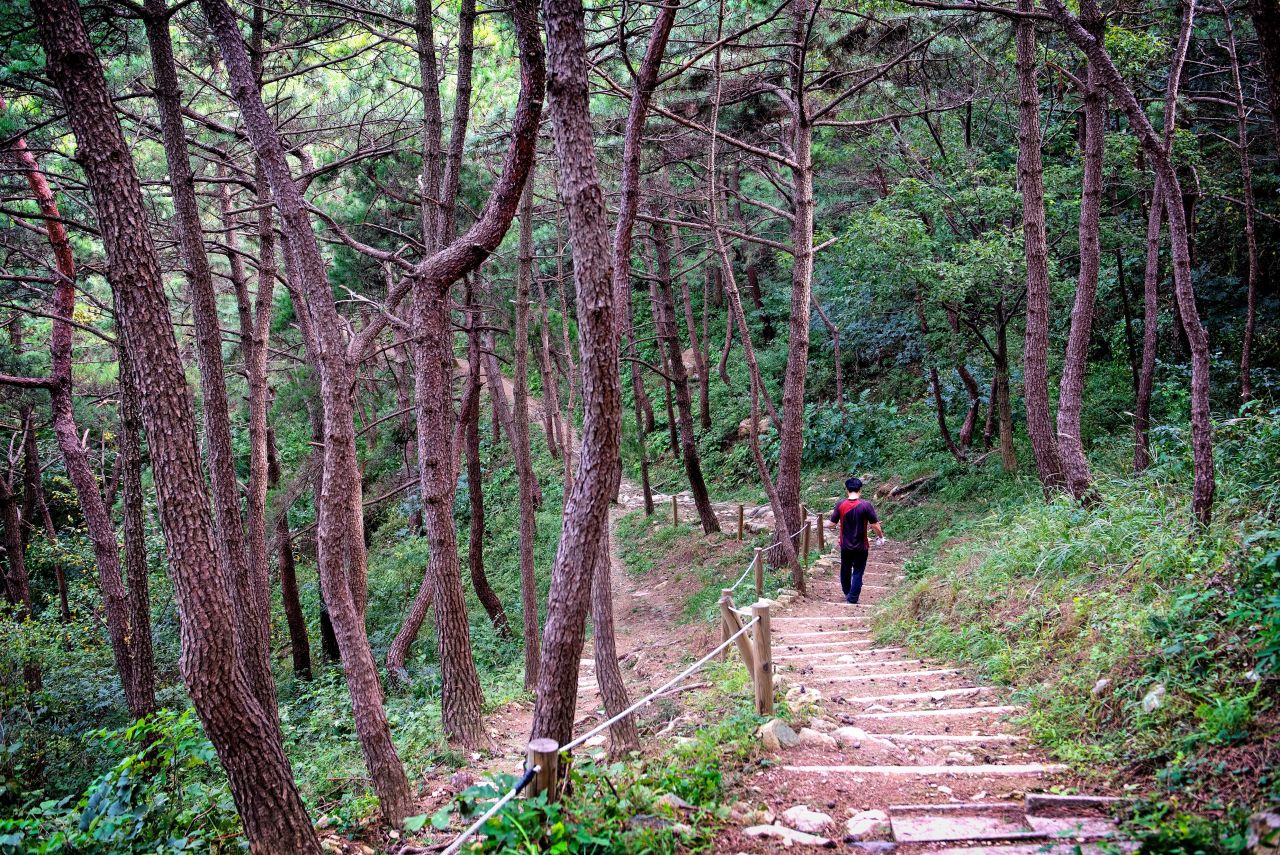 황령산둘레길