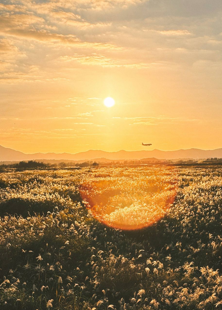 노을 빛 꿈