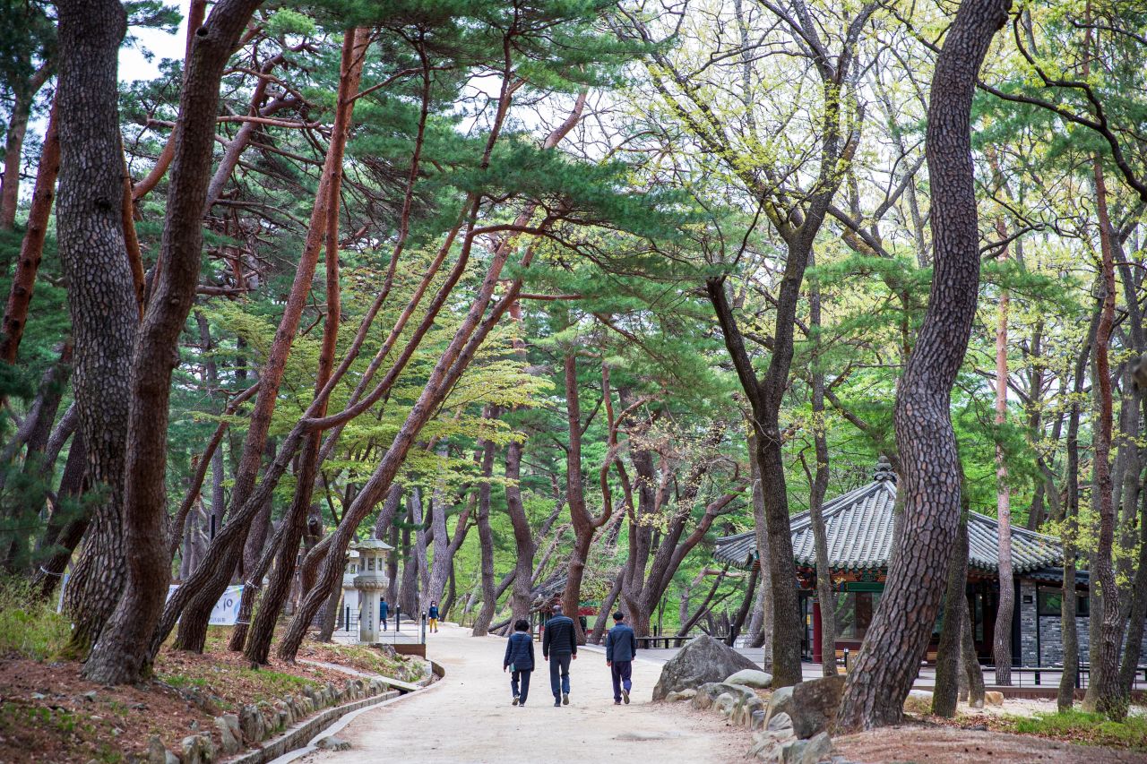 양산 통도사
