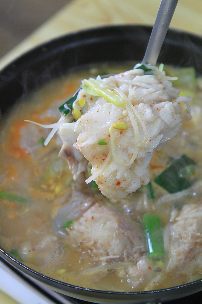 곰치국