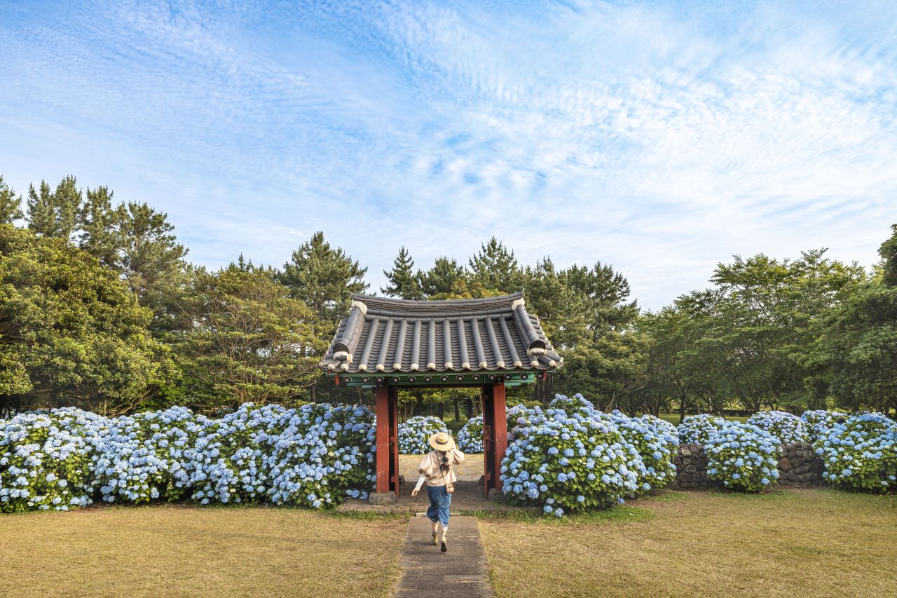 마중
