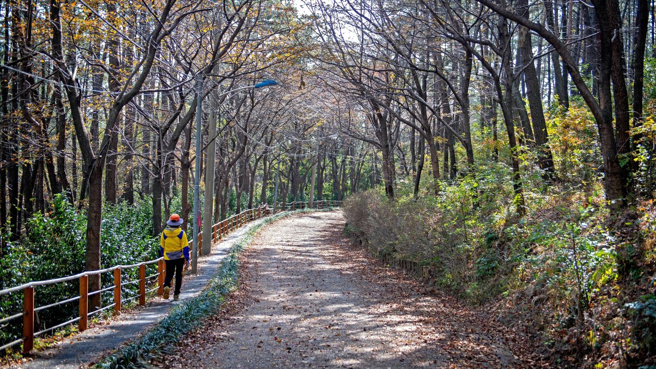일광산테마길