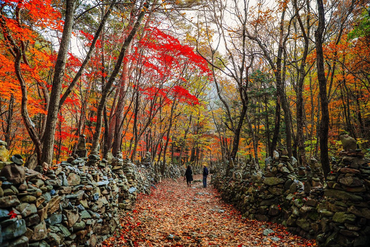 노추산