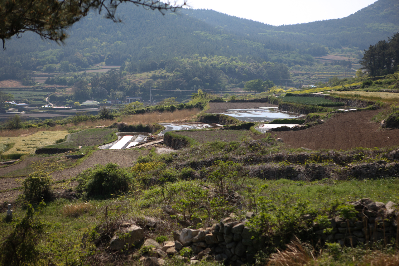 청산도 구들장논
