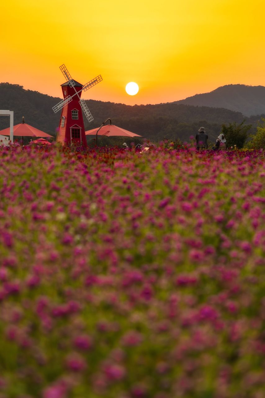 나리농원