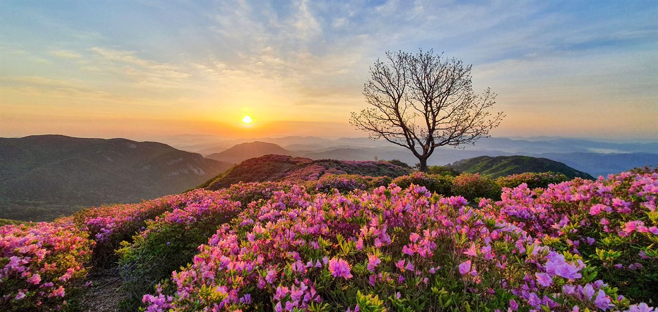 황매산 일출경