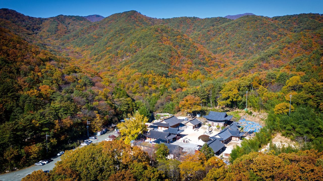 장안사 (2019)