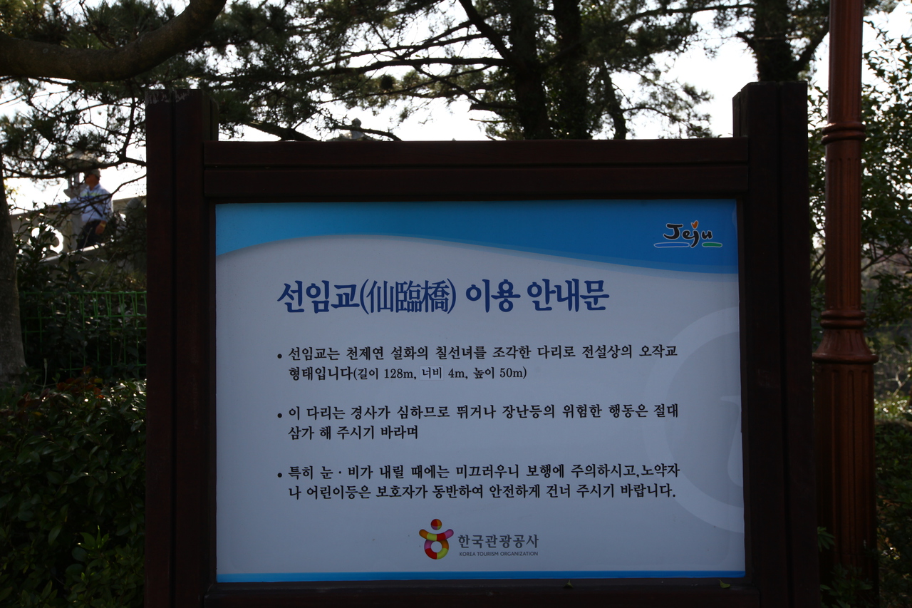 선임교