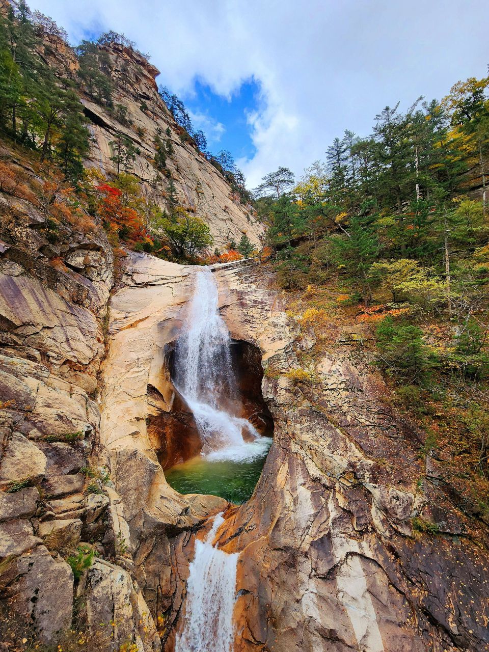 복숭아탕의 가을
