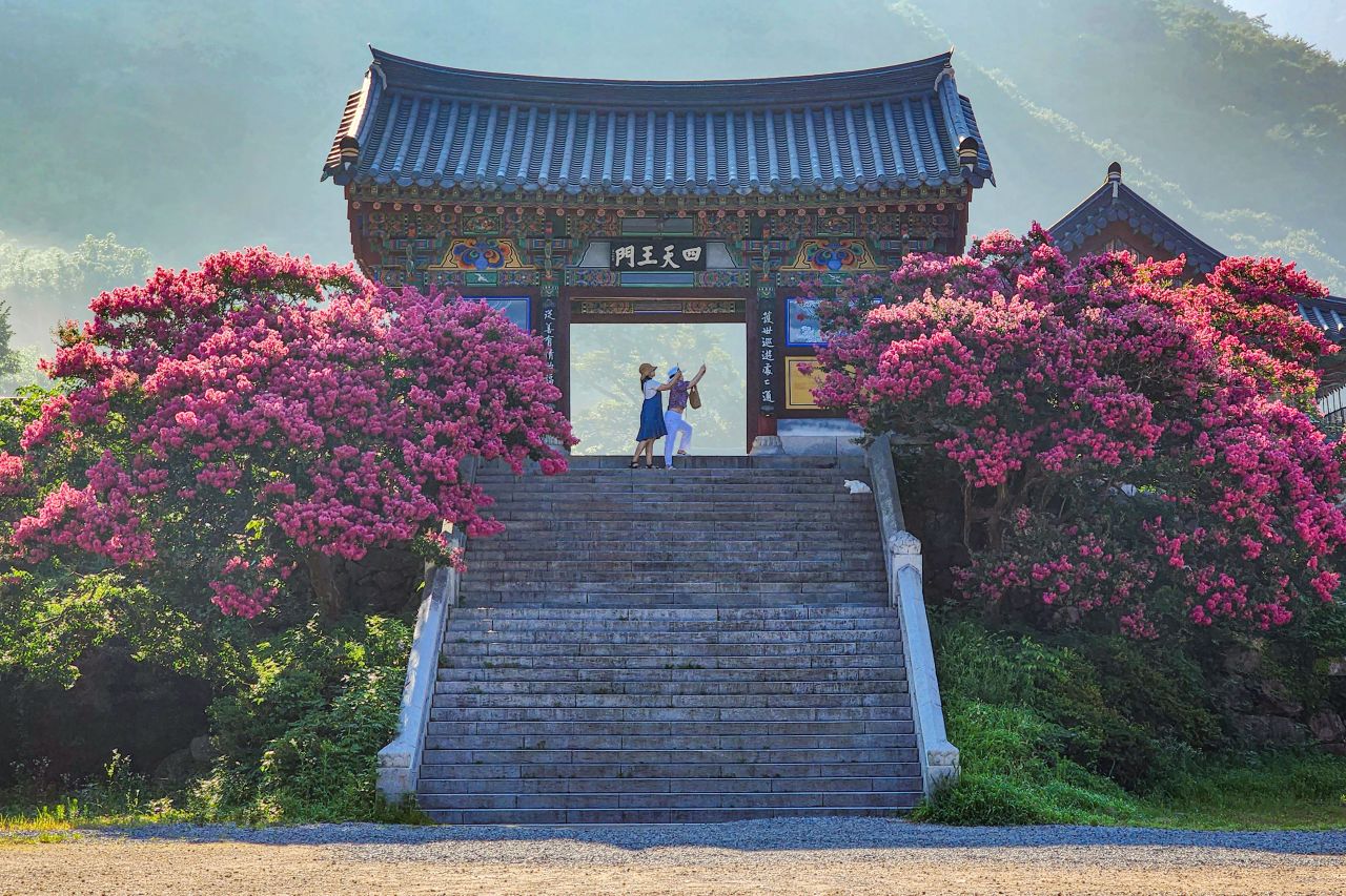 표충사의 여름