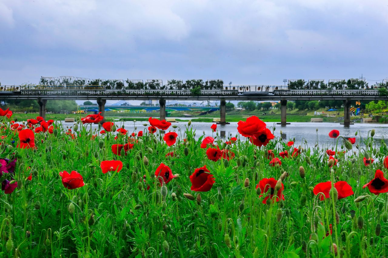 황룡강생태공원