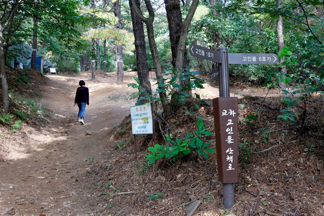 파주임진팔경