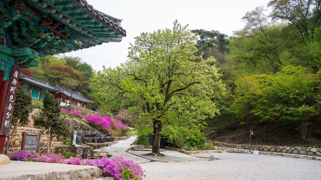 은수사