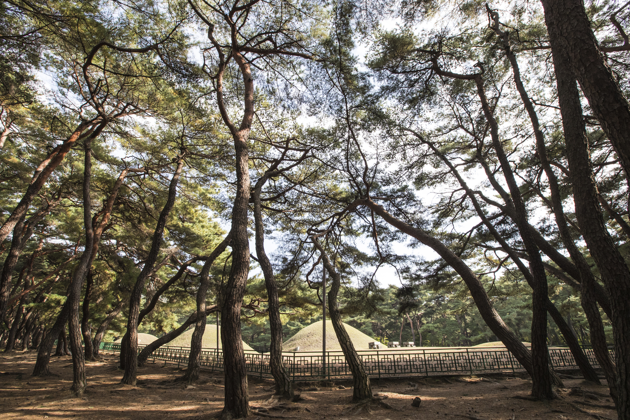 경주 배동 삼릉(경주 배리 삼릉)