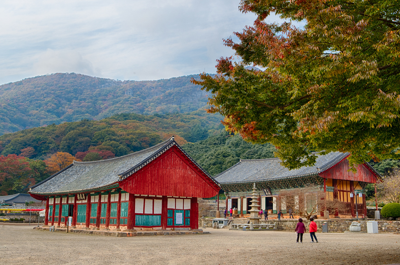 선운사