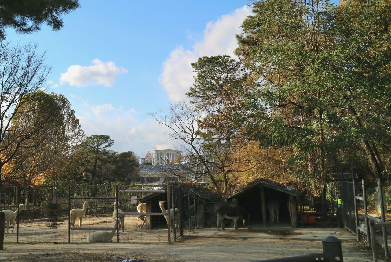 서울 어린이대공원