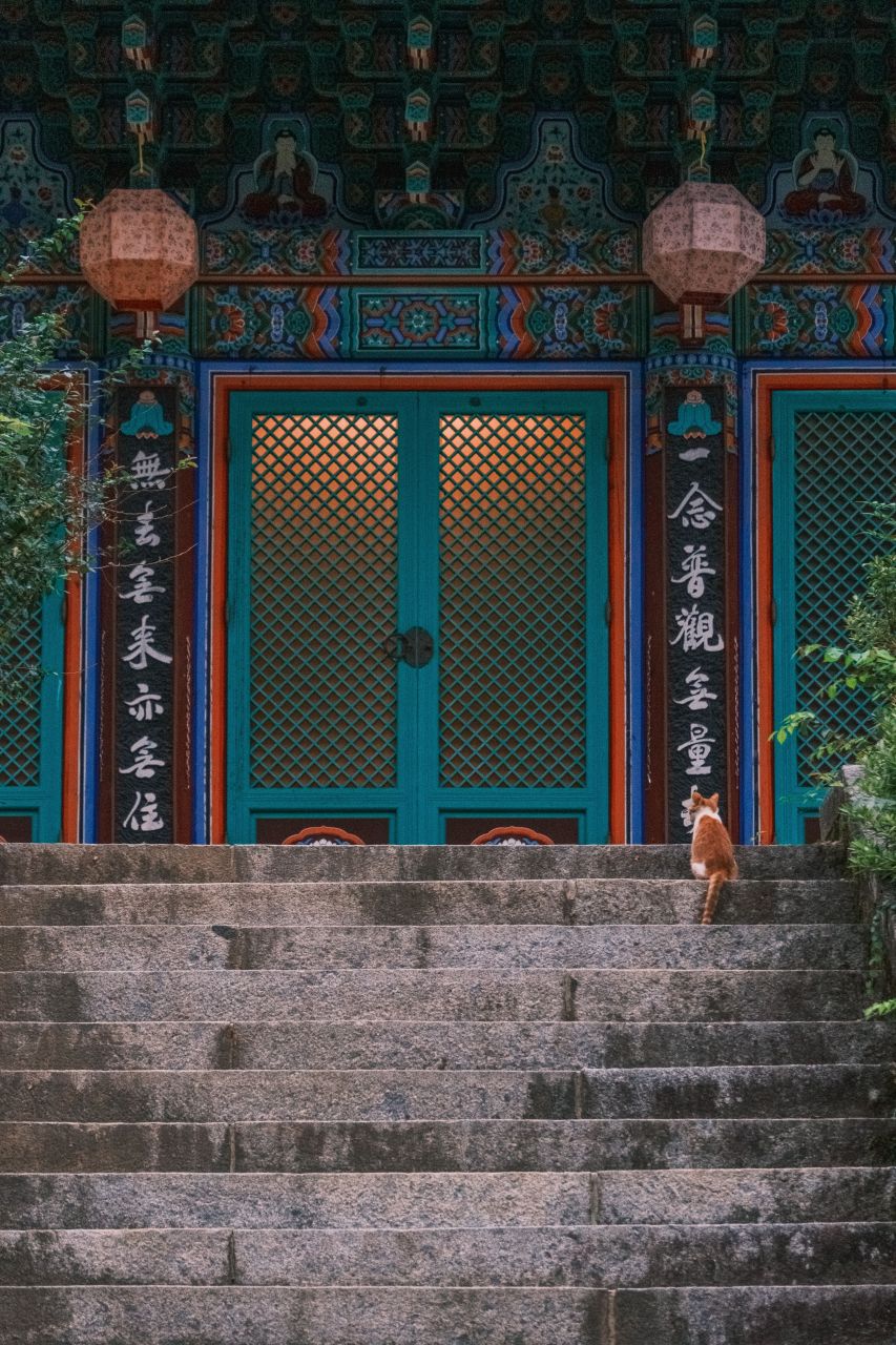 천안 광덕사