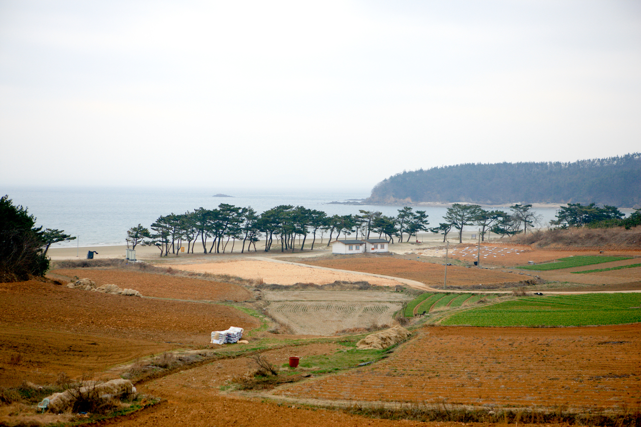 장삼포해수욕장
