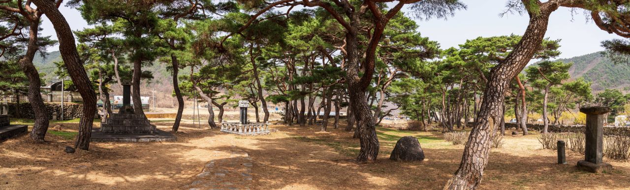 한밤마을