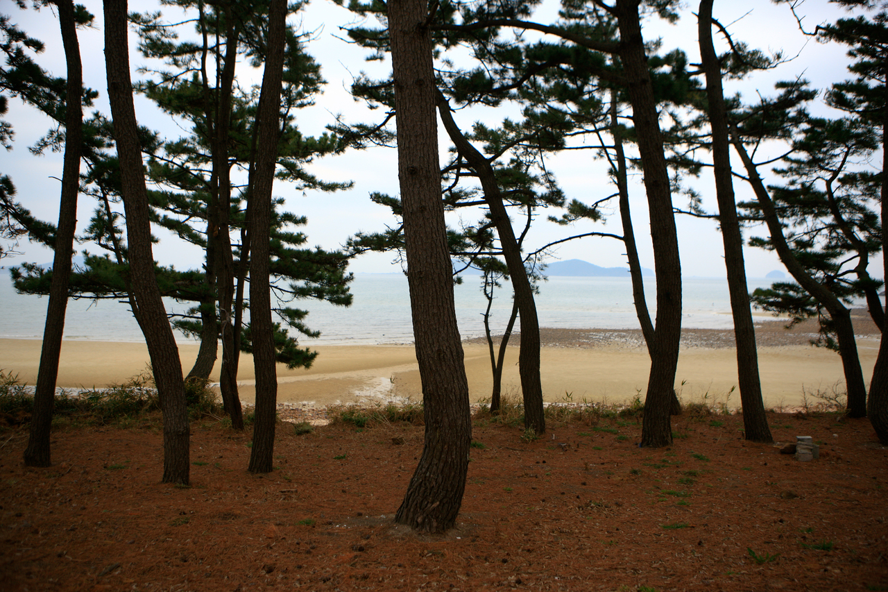 장곡해변