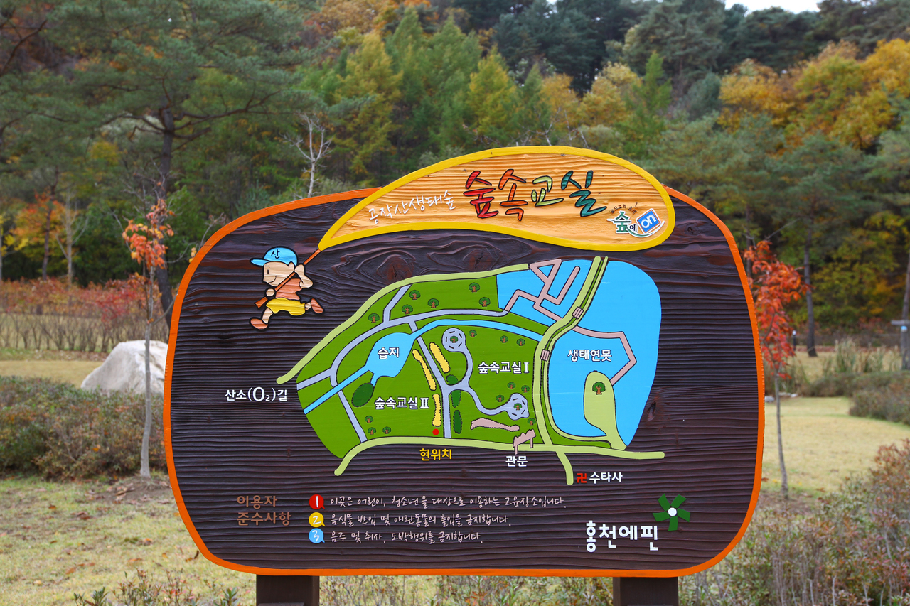 공작산 생태숲