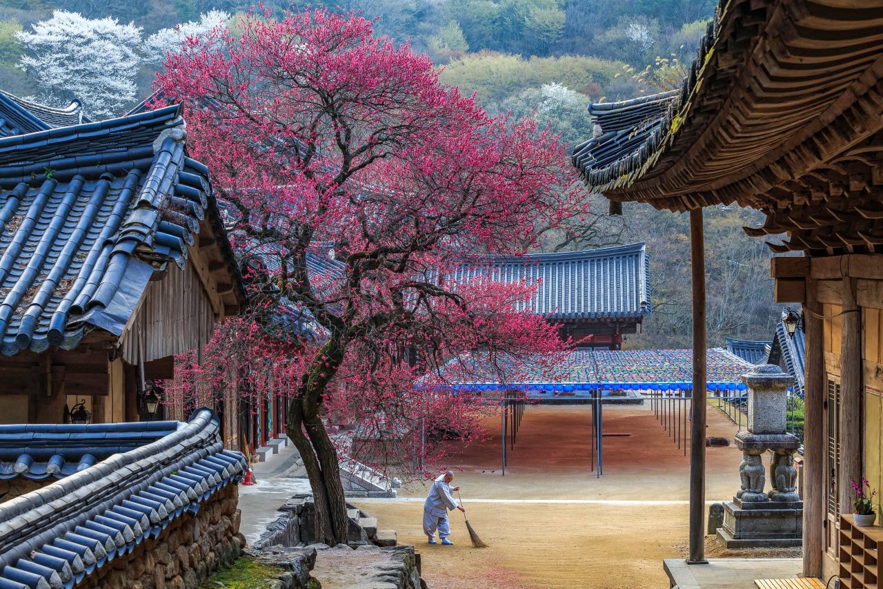 산사의 아침