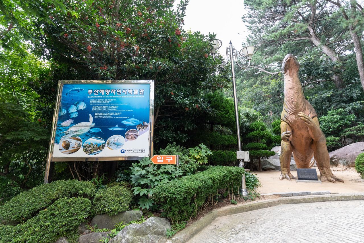 부산해양자연사박물관