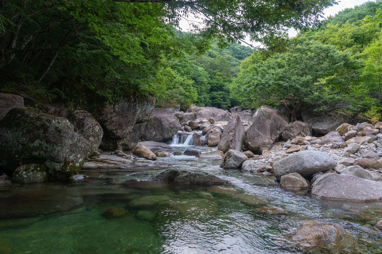 피아골계곡