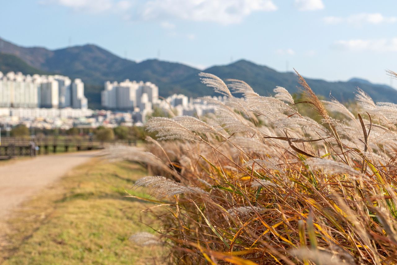 대저생태공원