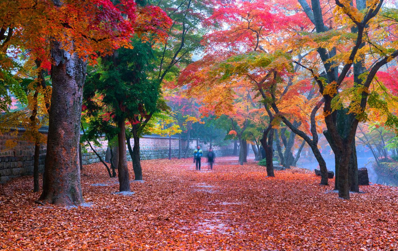가을 선운사
