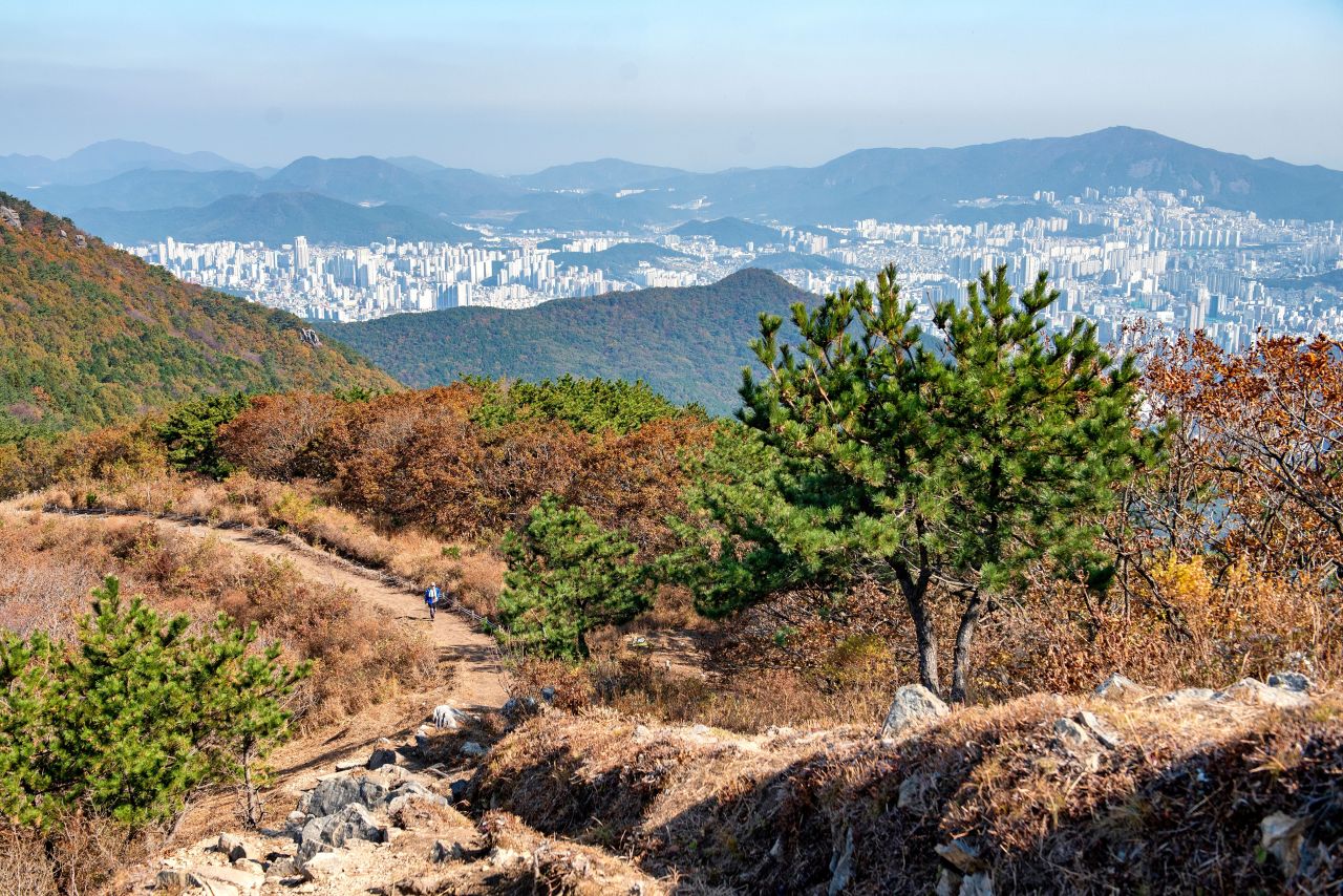 백양산 (2019)